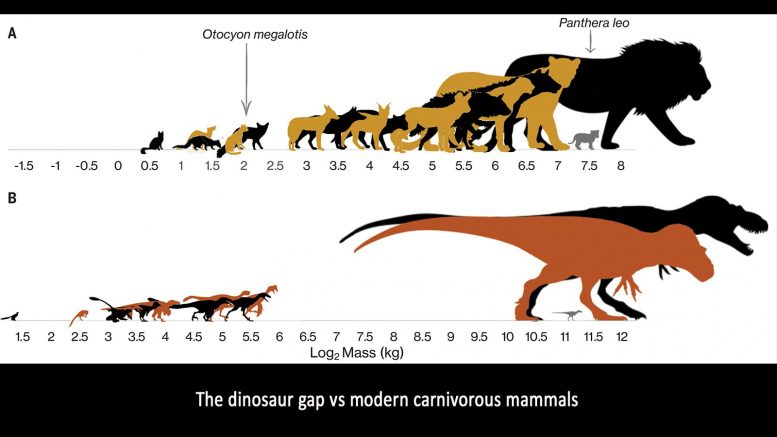 Dinosaur Gap vs. Modern Carnivores