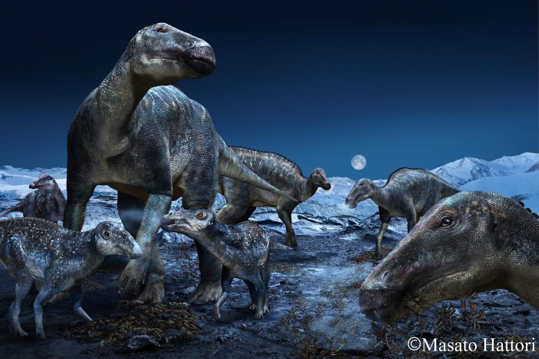 Dinosaurs Ancient Arctic Edmontosaurus
