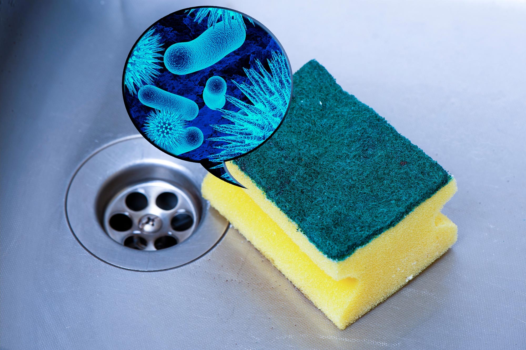Your Kitchen Sponge Is a Better Home for Bacteria Than a Petri
