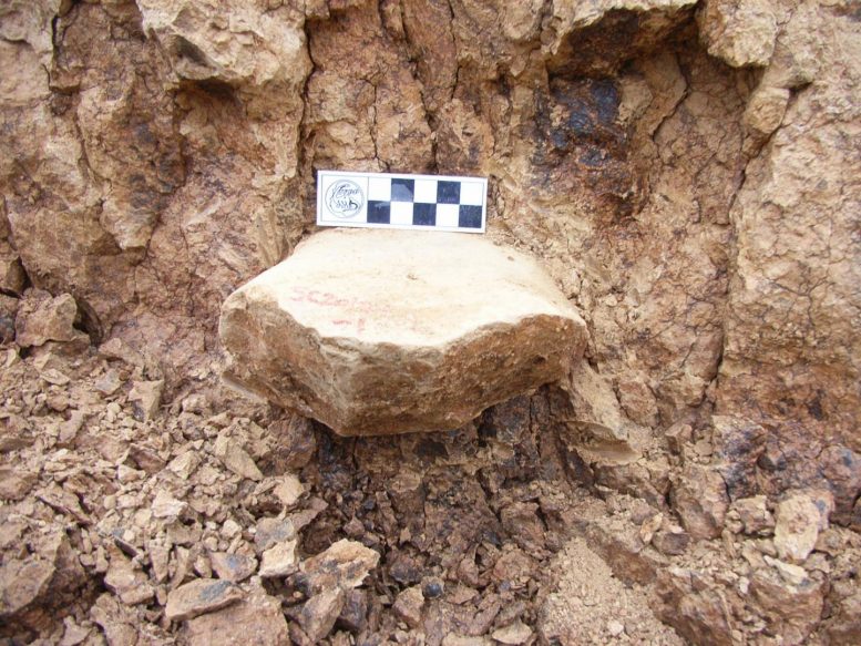 Discovery Suggests Humans Left Africa Earlier Than Previously Thought