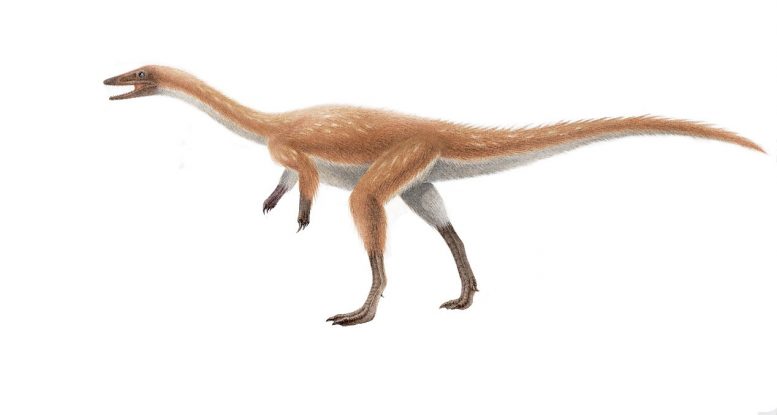 Discovery of Two New Chinese Dinosaurs