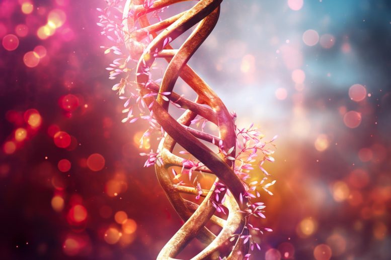 Disease DNA Genetics