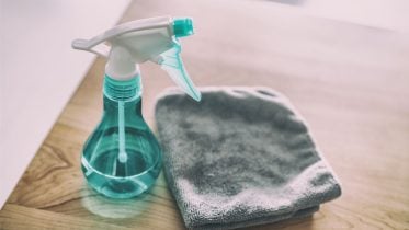 From Furniture To Shampoo: Common Household Chemicals Linked to Brain Damage