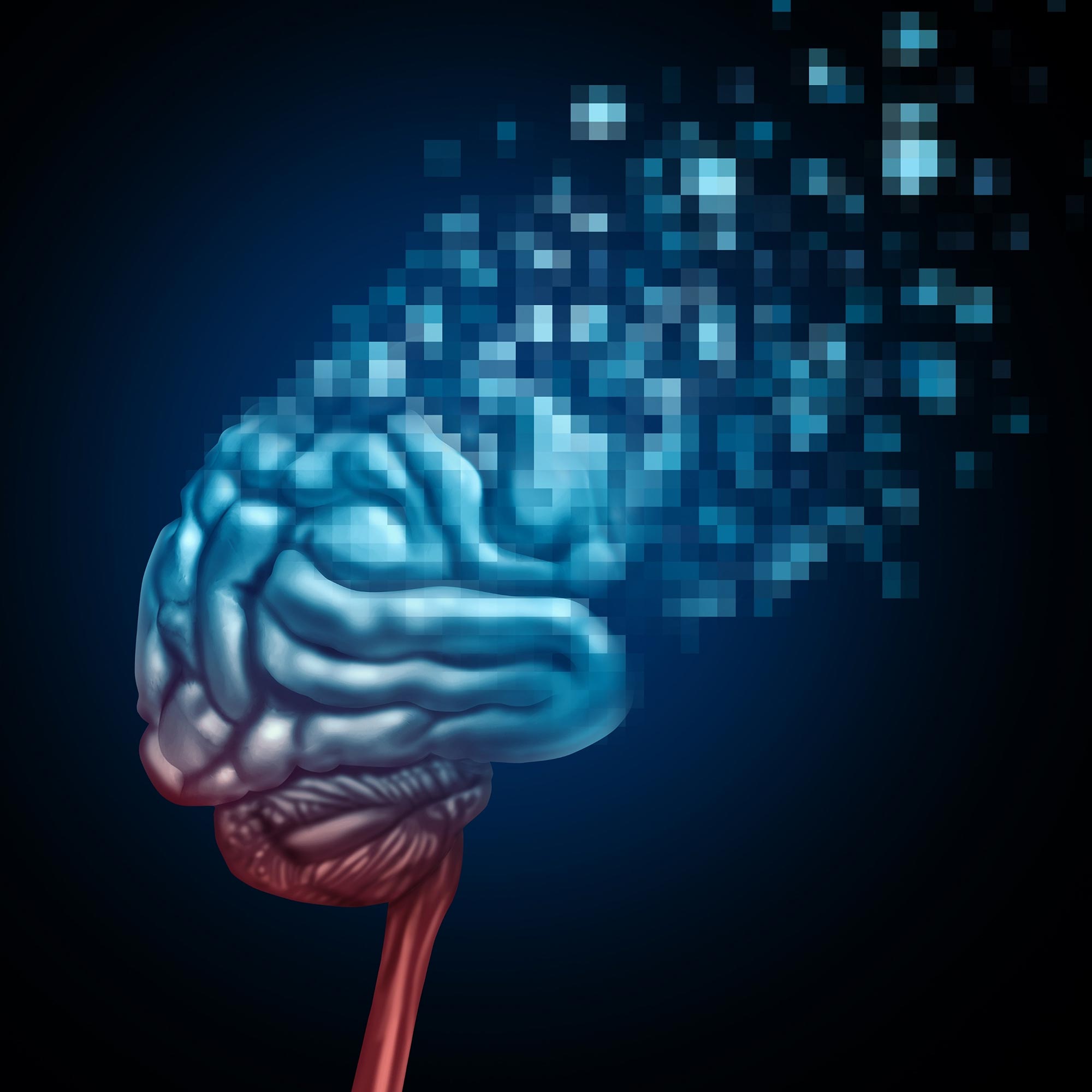 Телефон brain. Цифровой мозг. Закачка информации в мозг. Цифровые мозги. Мозг картина.