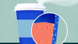 Disposable Coffee Cup Nanoparticles