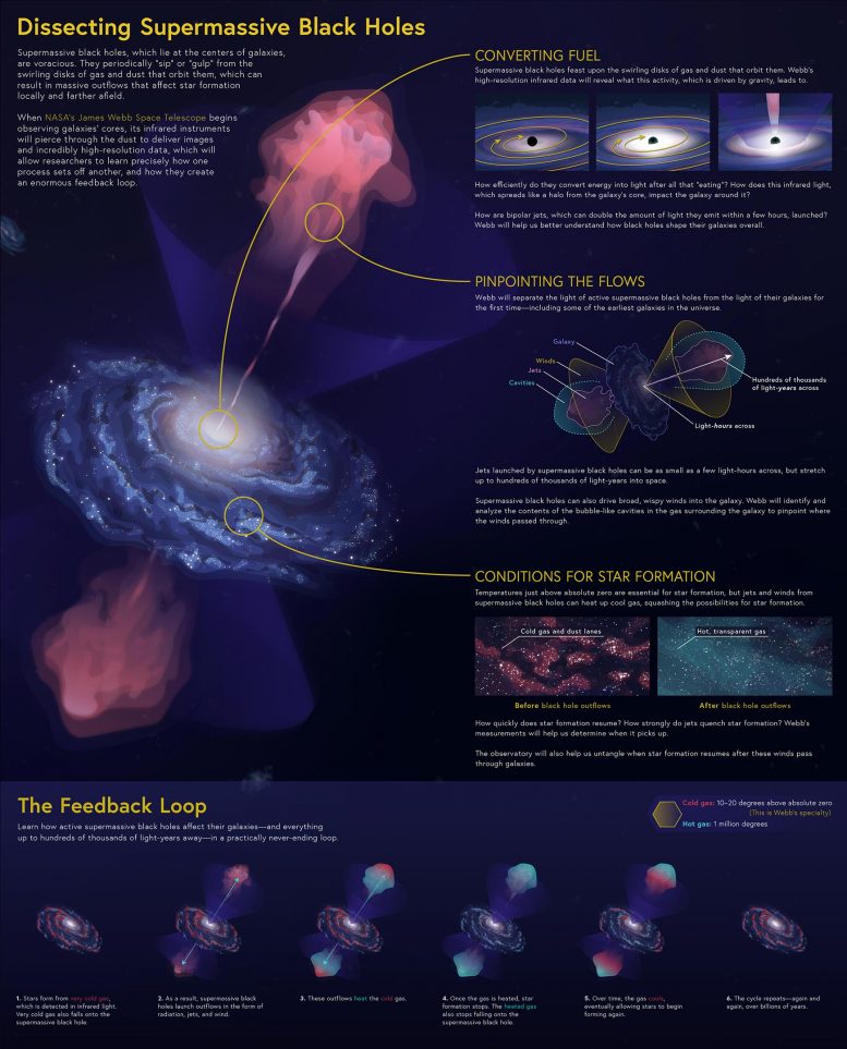 Dissecting Supermassive Black Holes