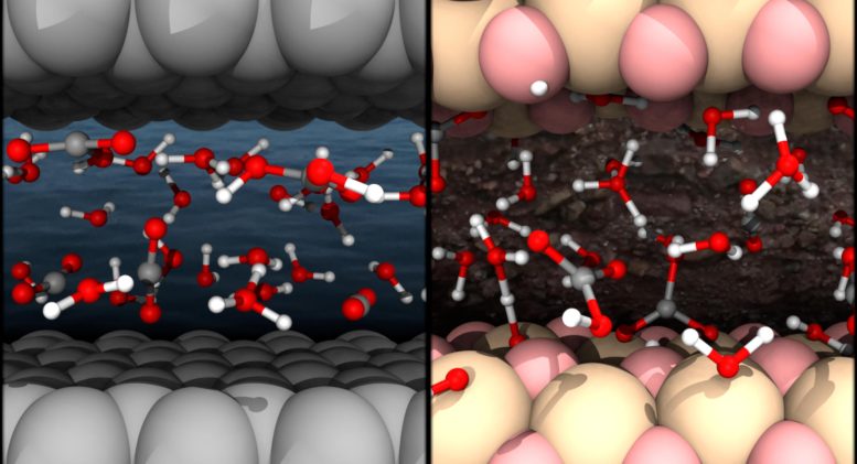 Dissolved CO2 in Water Under Nanoconfinement