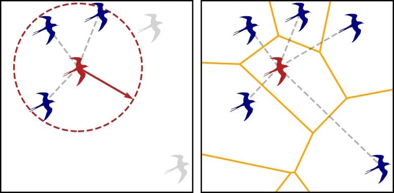 Distância vs Relações Topológicas