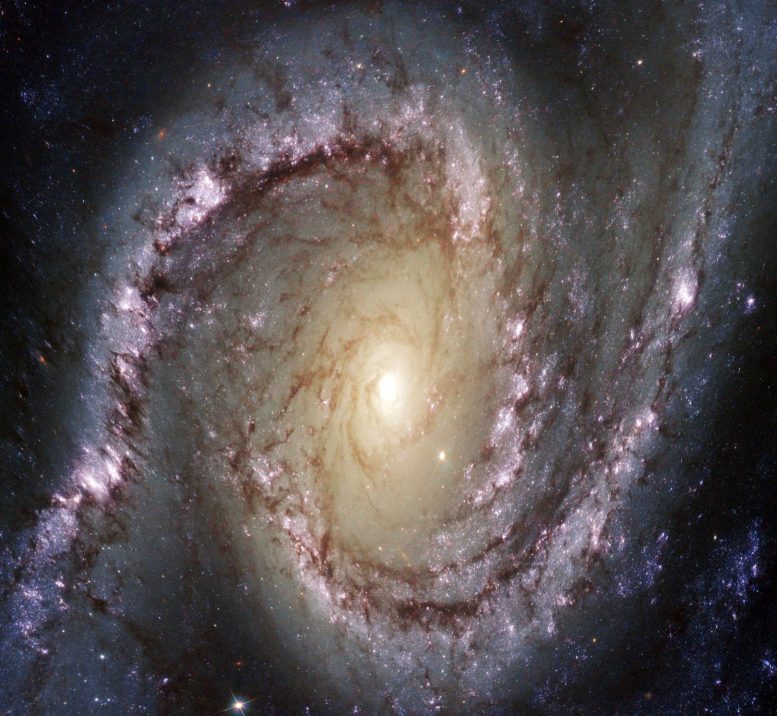 Distorted Spiral Galaxy