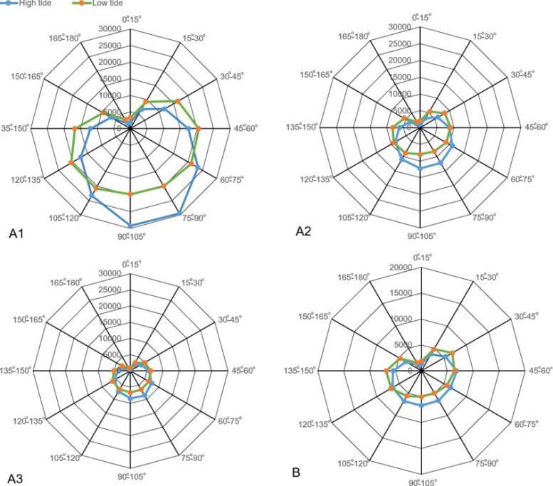 Distribution of High and Low Tides Versus Lunar Angle