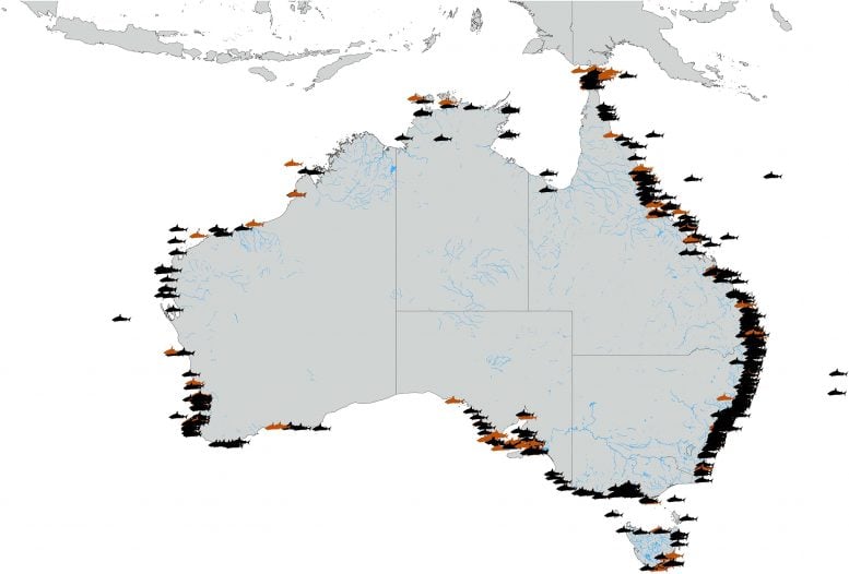 Distribution of Shark Bite Incidents in Australia