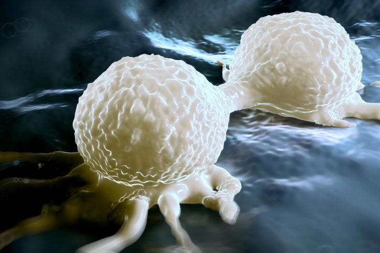 Dividing Breast Cancer Cell Illustation