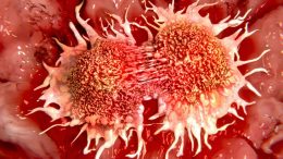Dividing Cancer Cells Illustation