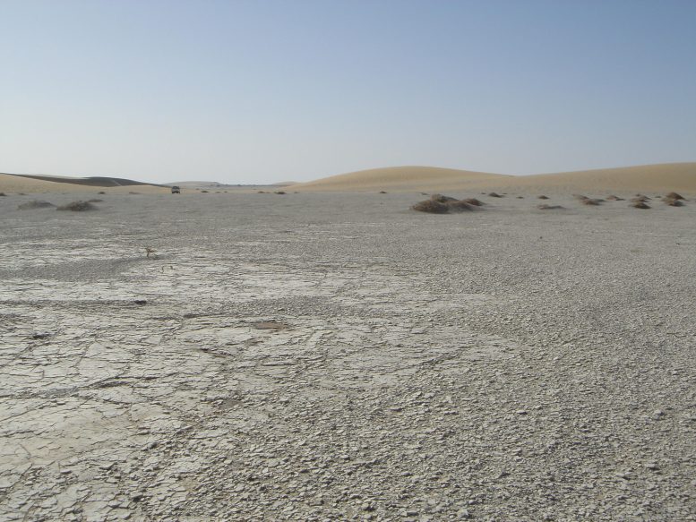 Djurab Desert