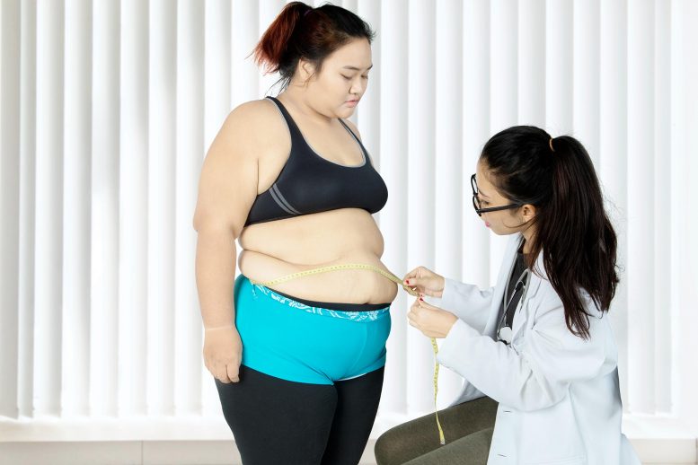 Doctor Examines Obese Asian