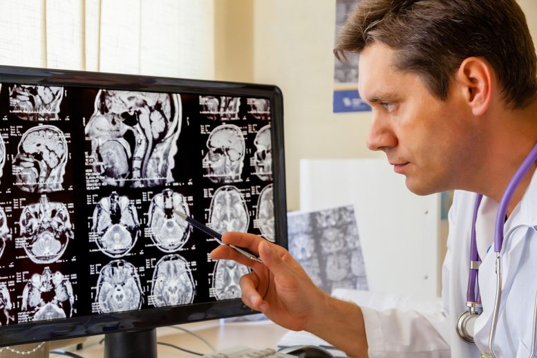 Doctor Examining Brain Scans