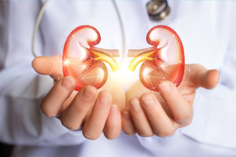 Kidney Protector Scientists Watched Kidneys Age in Months and Found a Kidney Protector