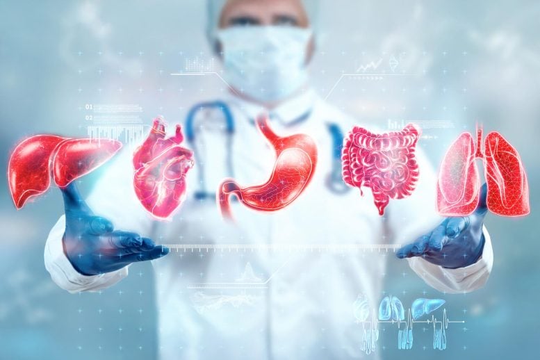 Doctor Human Internal Organs Treatment