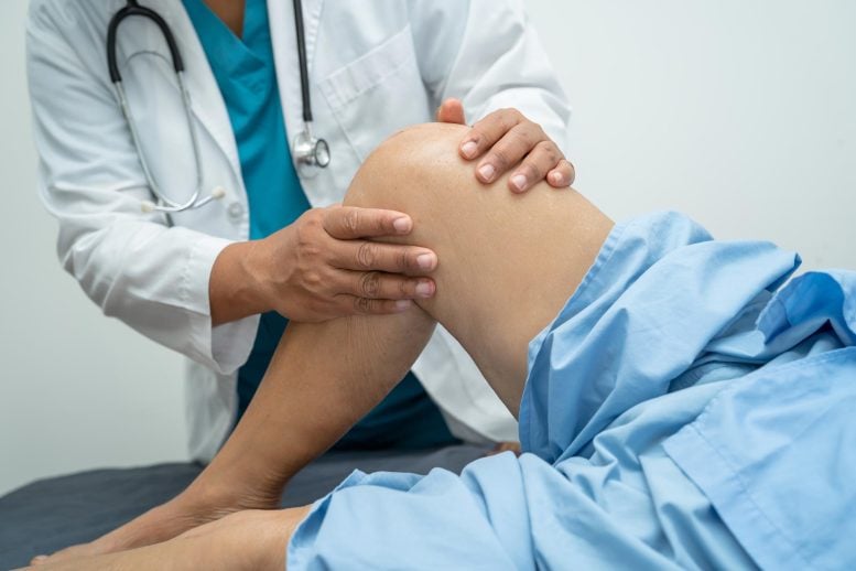 Doctor Woman Patient Total Knee Joint Replacement Surgery