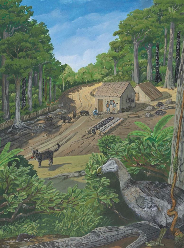 Dodo Extinction Factors Art