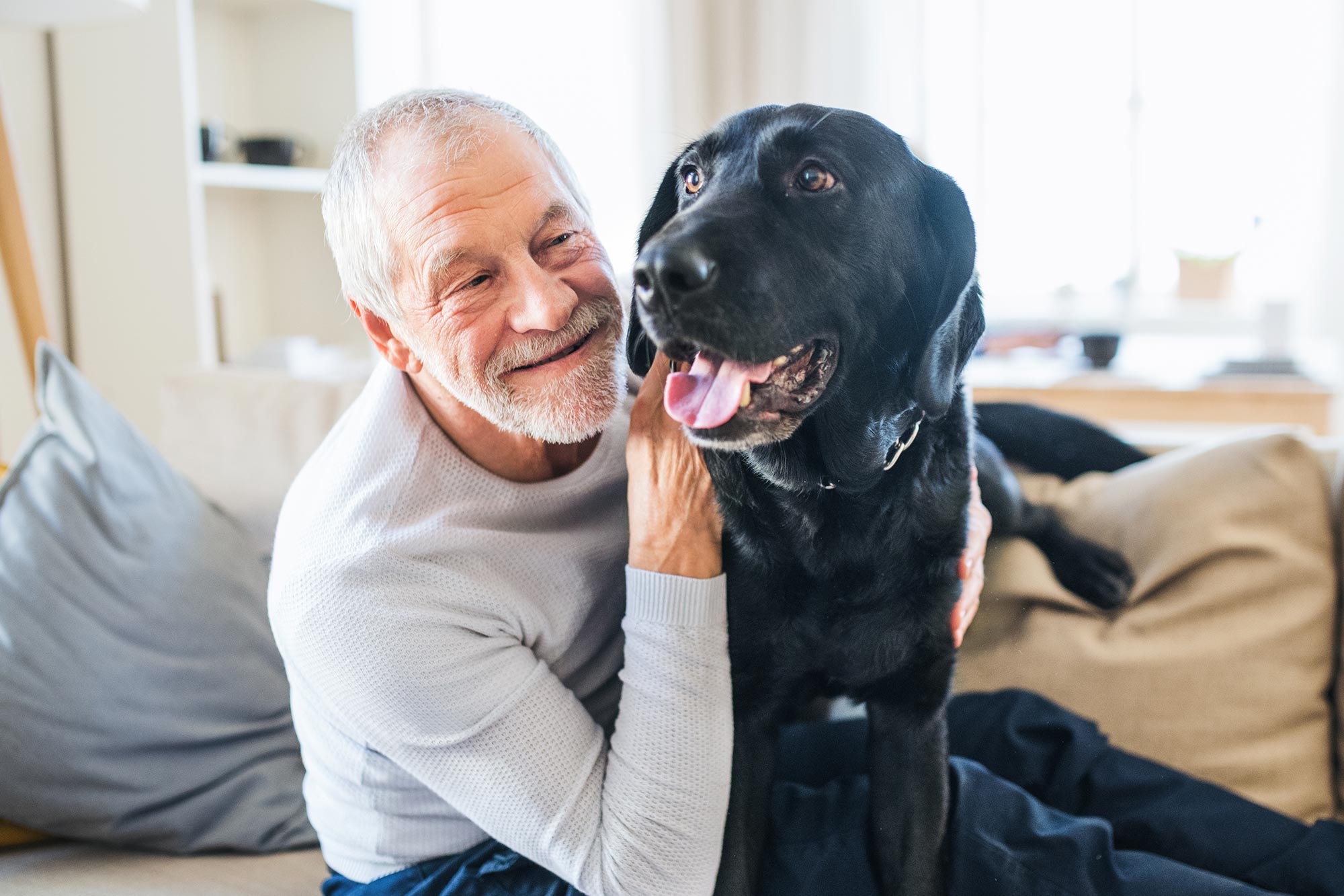 Scientists Use to Develop Better Formula to Calculate Dog Age in “Human Years”