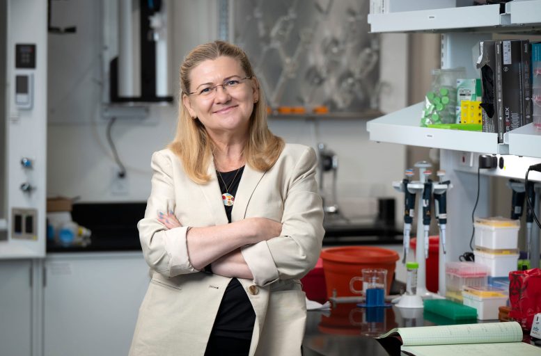 Dorota Skowronska Krawczyk