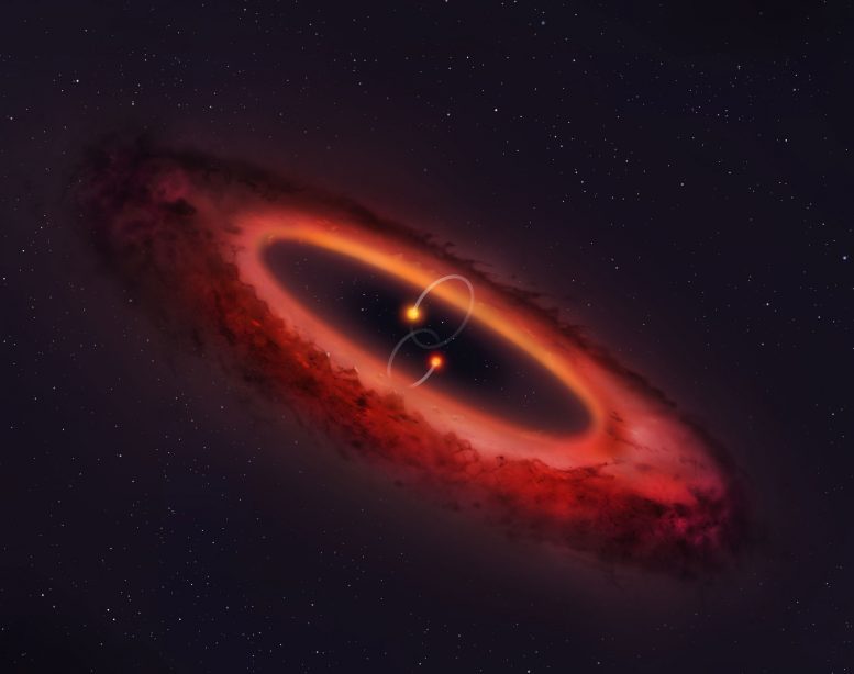 Double Star System Flips Planet Forming Disk into Pole Position