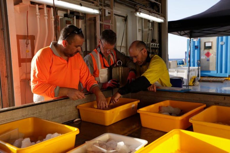 Dr Will White and John Pogonoski Examine Fish