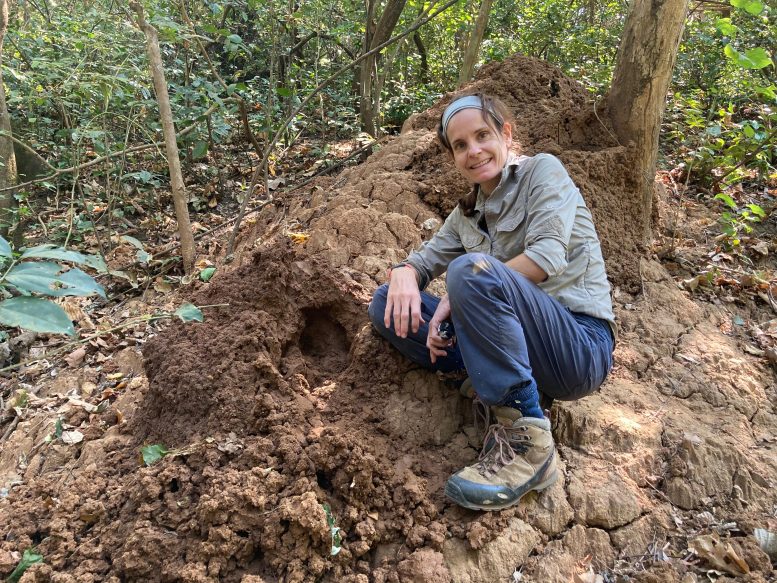 Dr. Alejandra Pascual Garrido at a Termite Mound