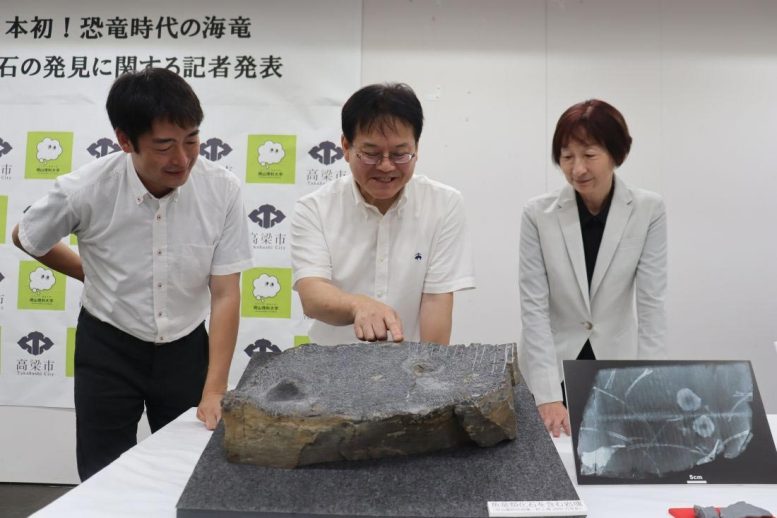 Dr. Hirokazu Yukawa, Professor Takafumi Kato, and Curator Kyoko Ikari Examine the Triassic Fossil Bearing Rock