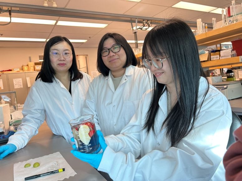 Dr. Tianxi Yang and Students