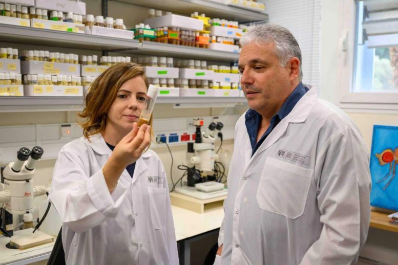 Dr. Tslil Braun and Prof. Eli Arama