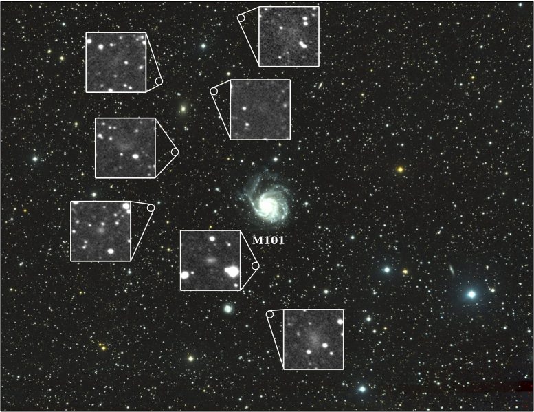 Dragonfly Telephoto Array Reveals Seven Previously Unseen Dwarf Galaxies