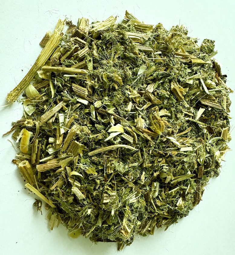 Dried Blessed Thistle