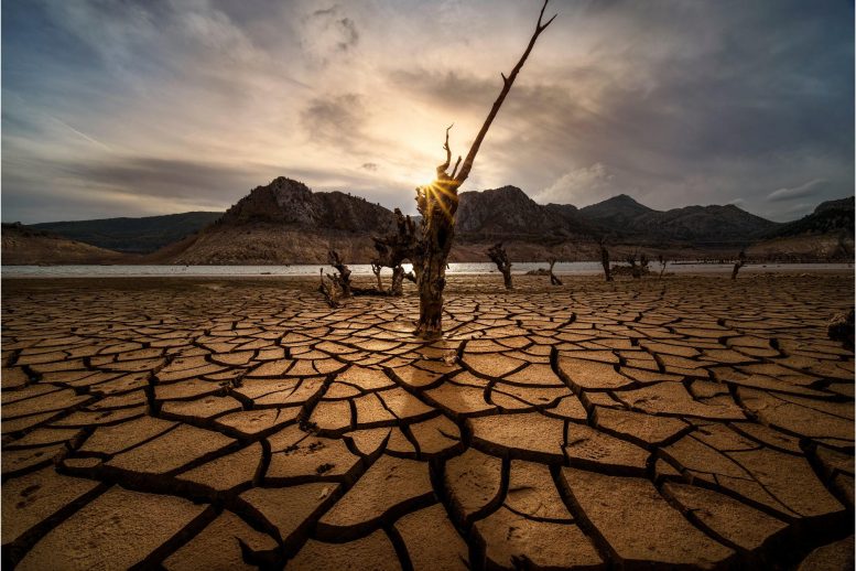Dried Lake Drought Global Warming