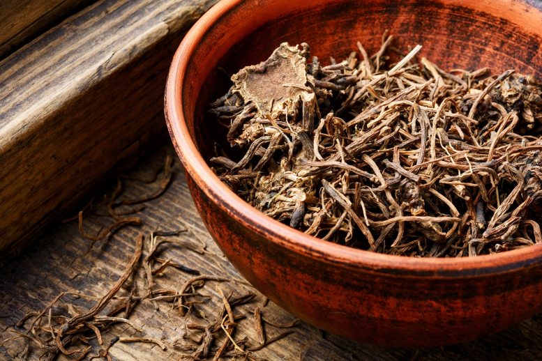 valeriana — Imagine 2 Dried Valerian Roots