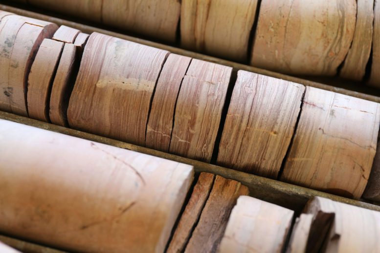 Drill Cores of Sedimentary Rock