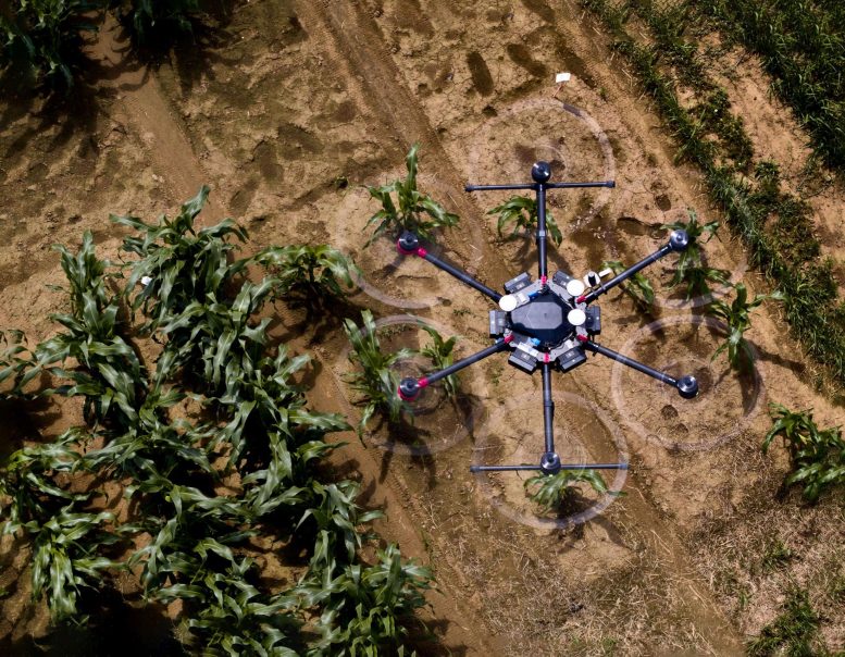 Technology tamfitronics Drones in Agriculture