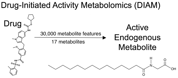 Drug-Initiated Activity Metabolomics (DIAM)