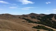 Dryland Ecosystem in Northern California