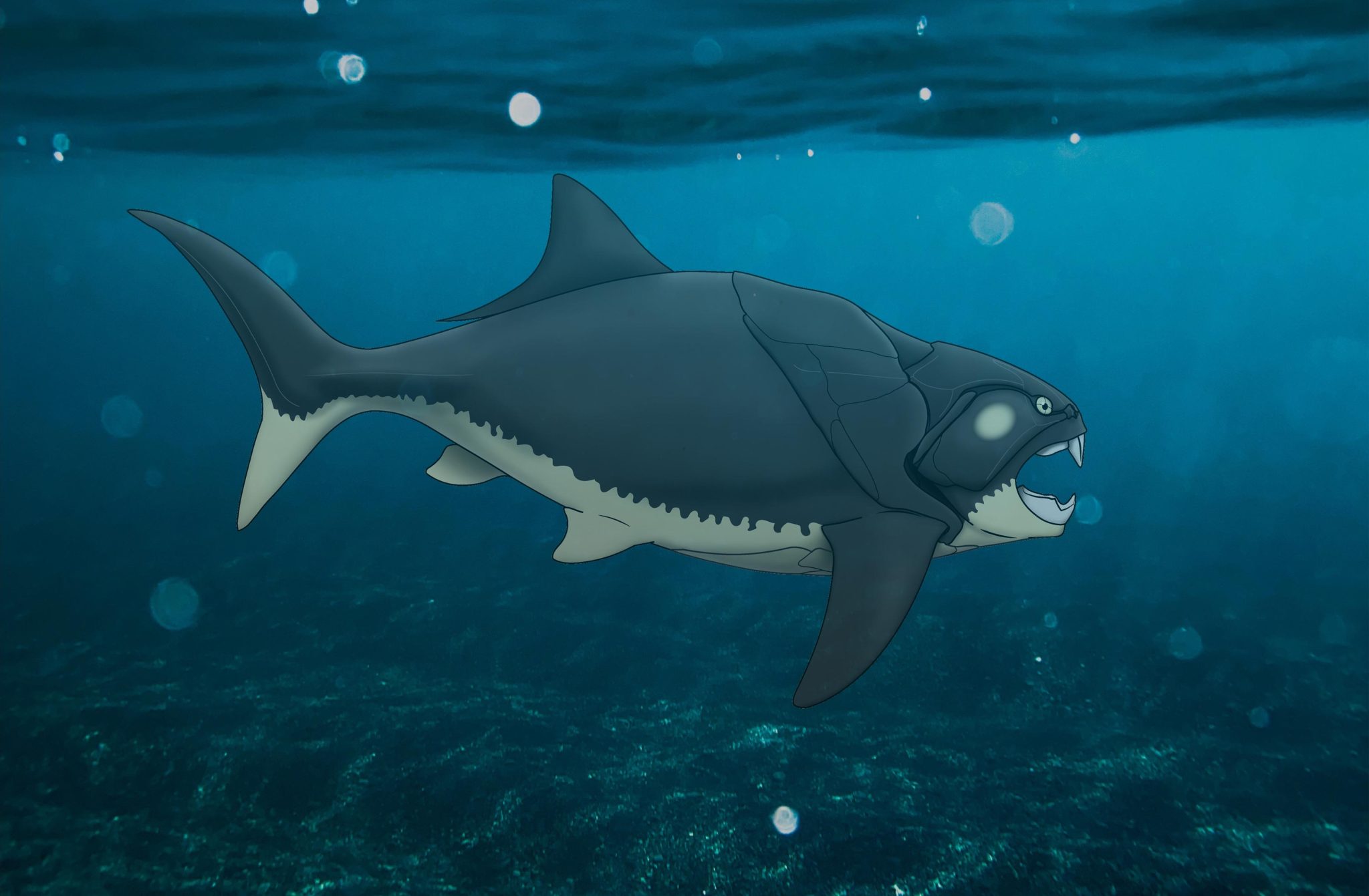 «¿Chunky Dunk?»  – La extraña verdad sobre el monstruo marino prehistórico acorazado de Cleveland