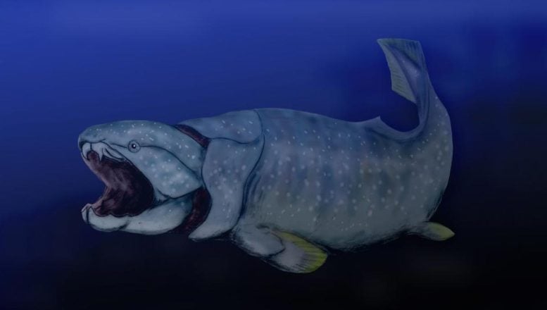 Dunkleosteus Rendering
