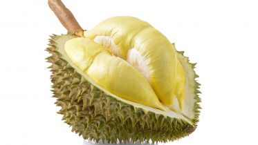 Discovering What Makes Durian Stink – “King of Fruits” Is Known for Its Pungent Odor