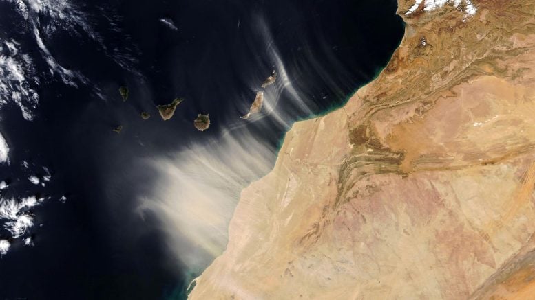 Dust From Northwest Africa Blows Over Canary Islands