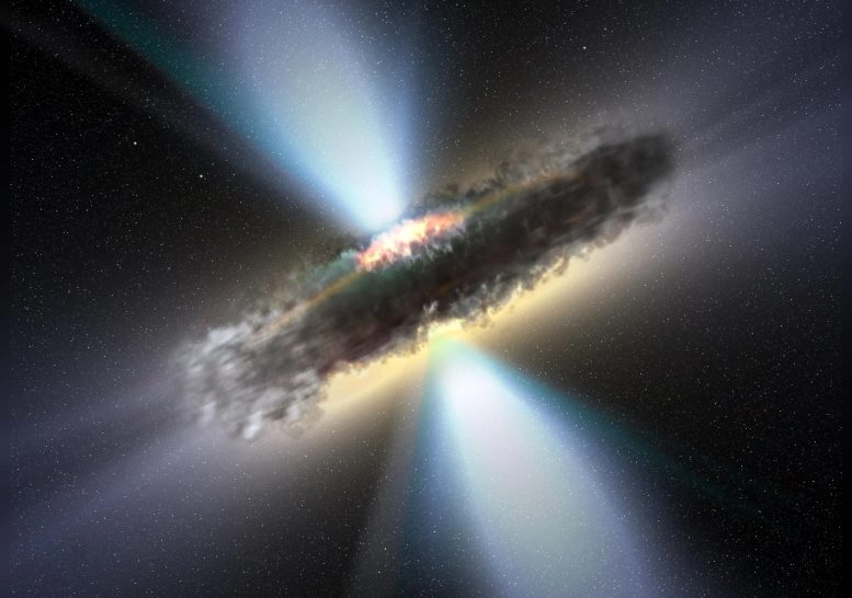 Dust Torus Surrounding Supermassive Black Hole