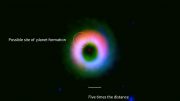 Dust and Gas Disk around HD142527