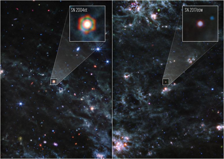 Dusty Supernovae (Webb MIRI)