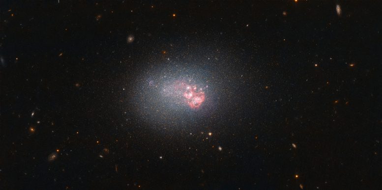 Dwarf Galaxy ESO 553-46