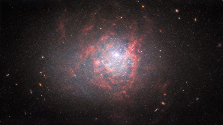 Dwarf Galaxy NGC 1705
