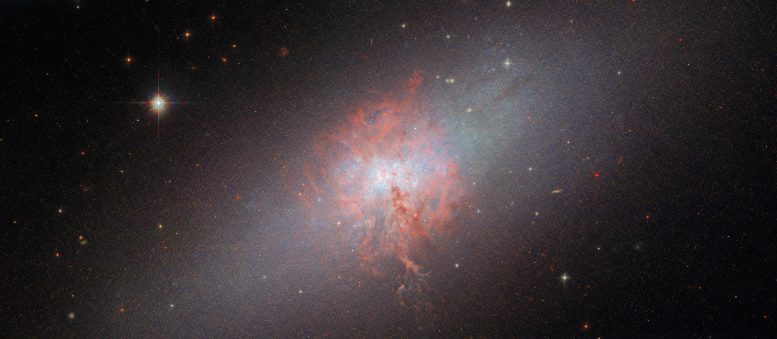 Dwarf Galaxy NGC 5253